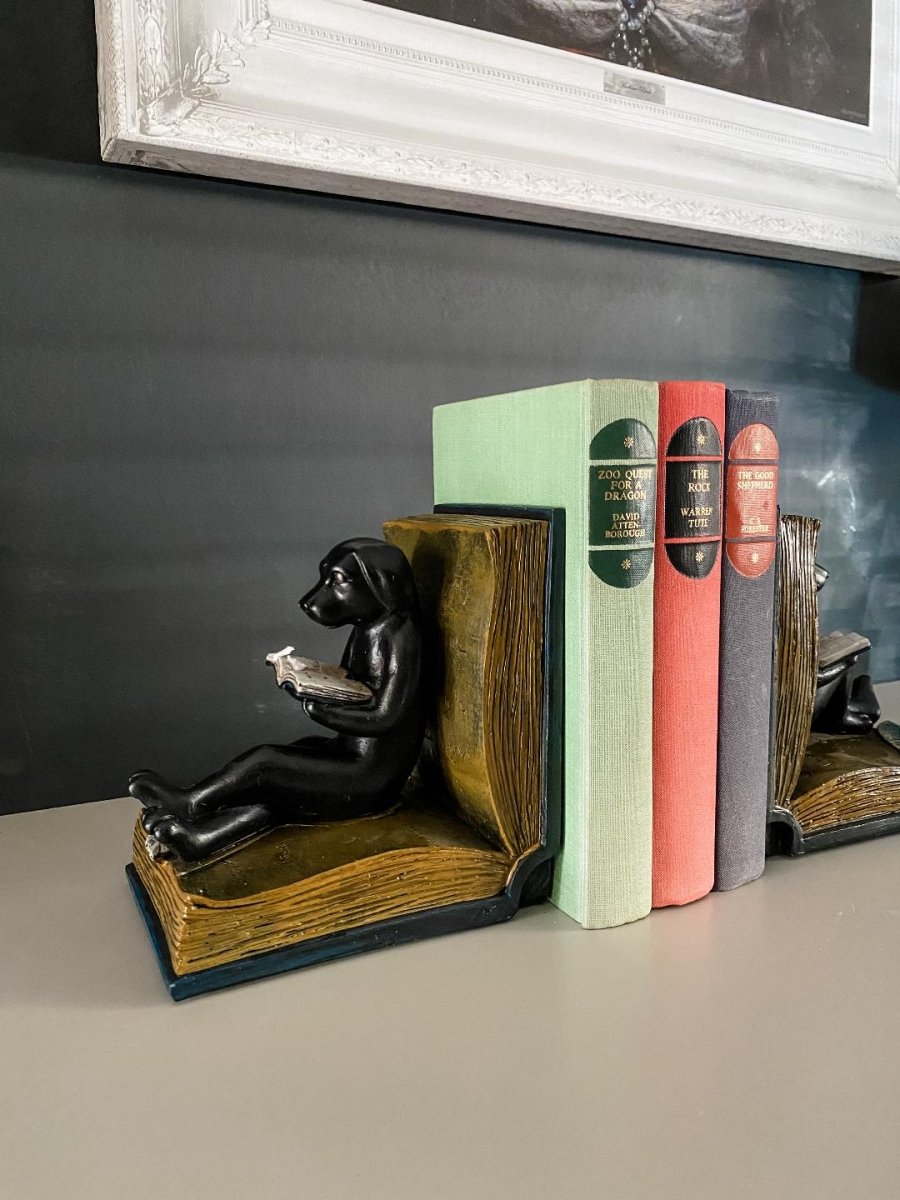 UNAVAILABLE ~ Dog Reading Bookends - Punk & Poodle