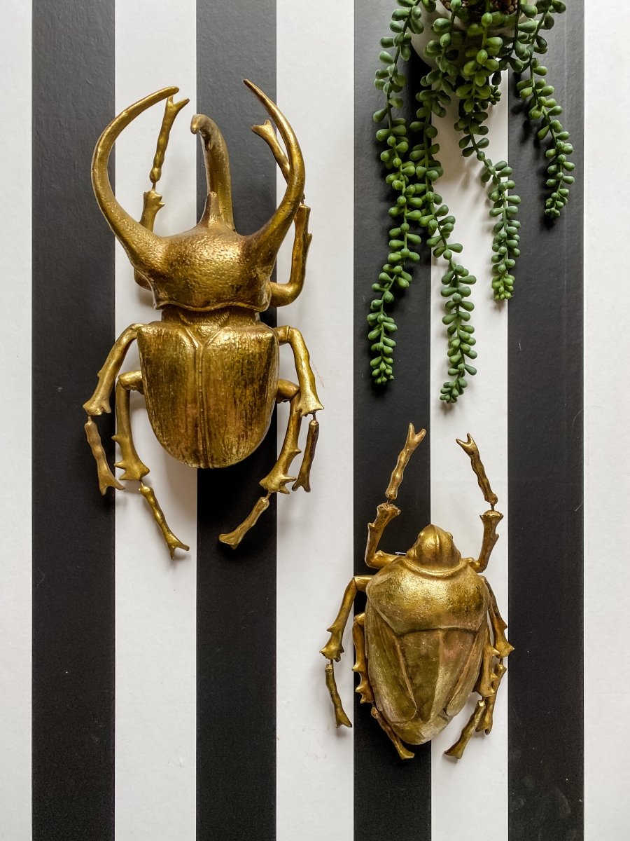 Transform Your Space with Gold Beetle Wall Decoration: A Comprehensive Guide