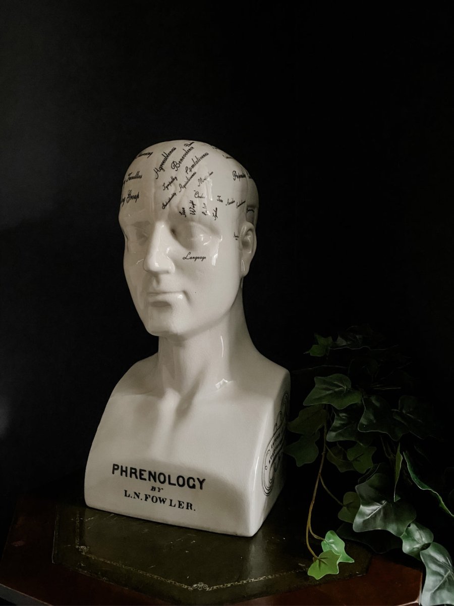 Large Ceramic Phrenology Head Ornament - Punk & Poodle