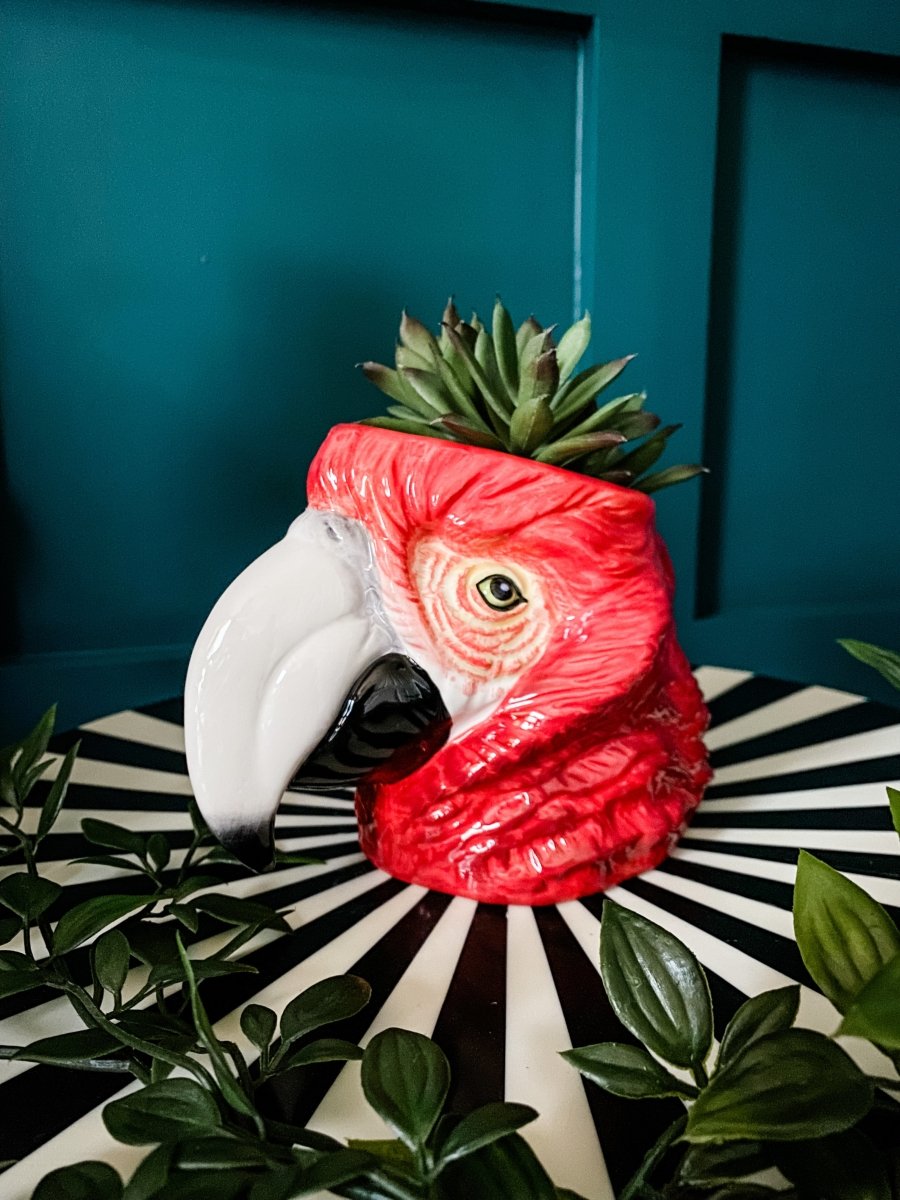 Macaw Parrot Head Ceramic Planter Storage Jar - Punk & Poodle