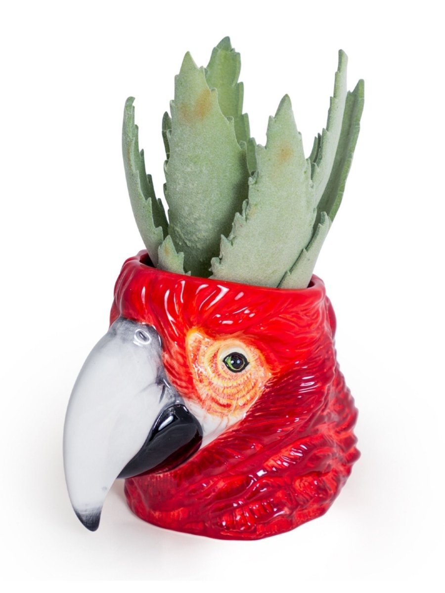 Macaw Parrot Head Ceramic Planter Storage Jar - Punk & Poodle