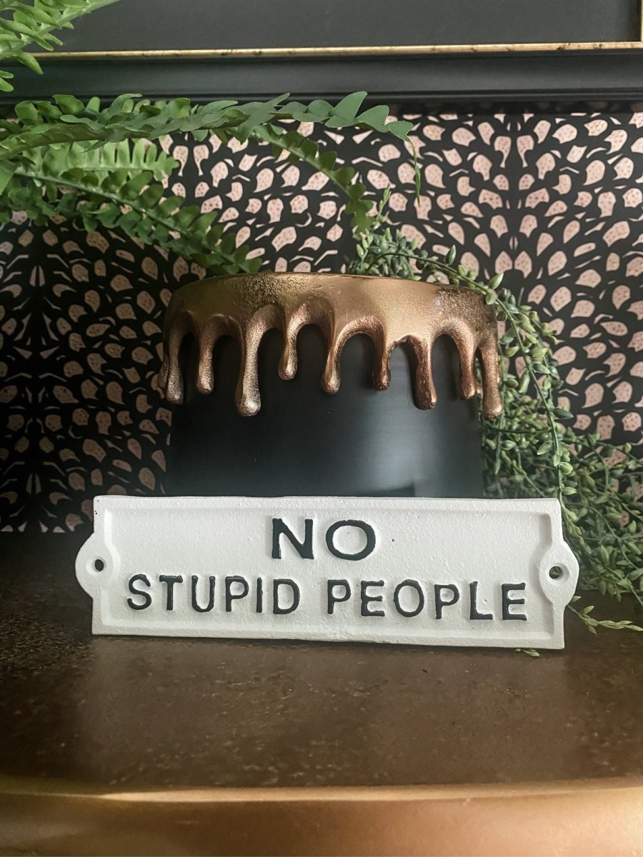 'No Stupid People' Mini Iron Wall Sign - Punk & Poodle