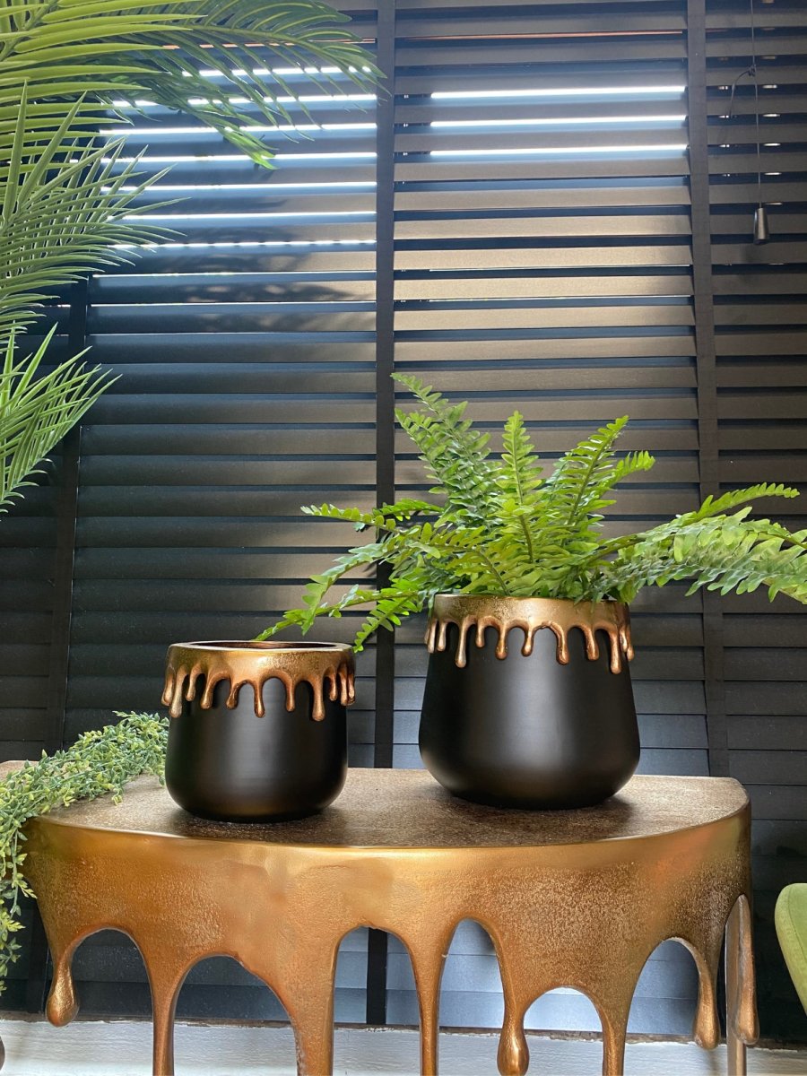 Set of 2 Gold Drip Plant Pots - Punk & Poodle